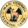 Glowing Lamb motorcycle rally badge from Jan Heiland