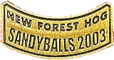 HOG Sandyballs motorcycle rally badge from Jean-Francois Helias