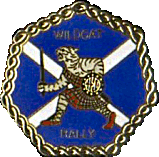 Wildcat motorcycle rally badge