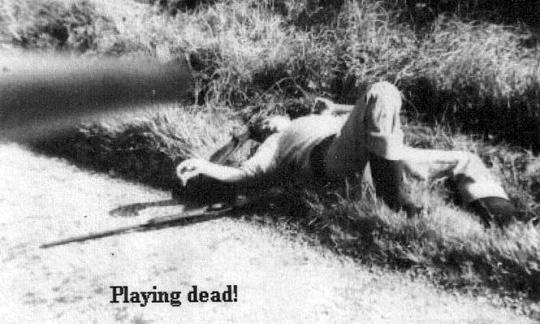 Playing dead
