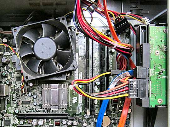 The innards
